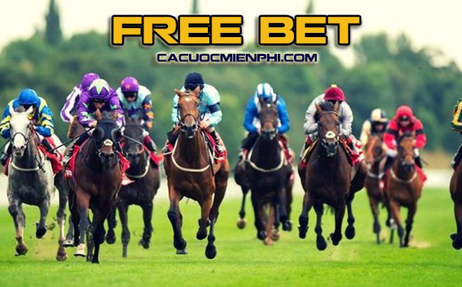 Trang web nền tảng Mibet Mibet - Mibet