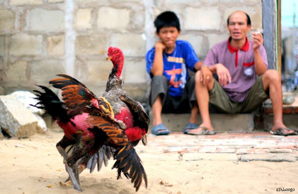 Ai không biết đến công ty game này thì không phải là một người chơi cờ bạc thực thụ - 88Clb