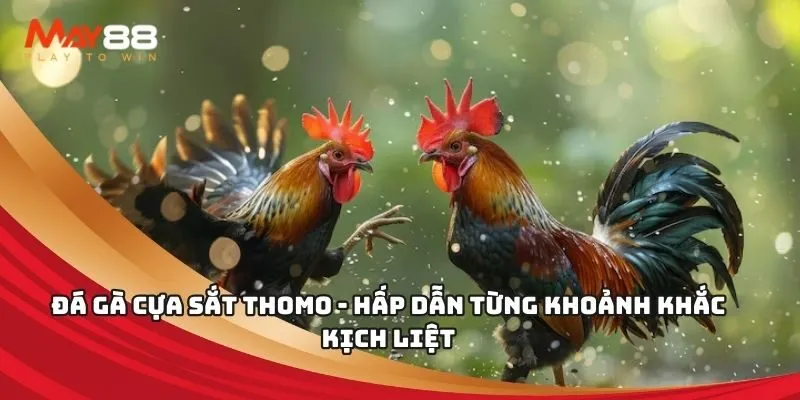 Quy tắc tài khoản đại lý Five88 - Five88