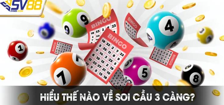 1Xbit Brazil cung cấp những loại sự kiện thể thao nào? - 1Xbit