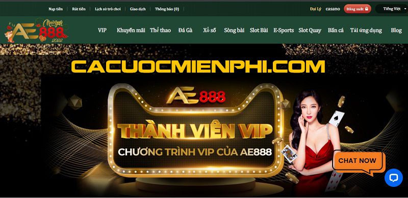 Cách đơn giản nhất để đặt cược vào tỷ lệ cược Vz99 - Vz99