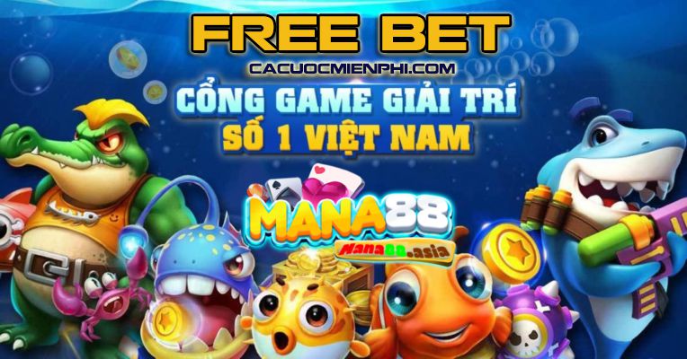 Lưu ý khi chơi các trò chơi bài cấp độ Wibo88 - Wibo88