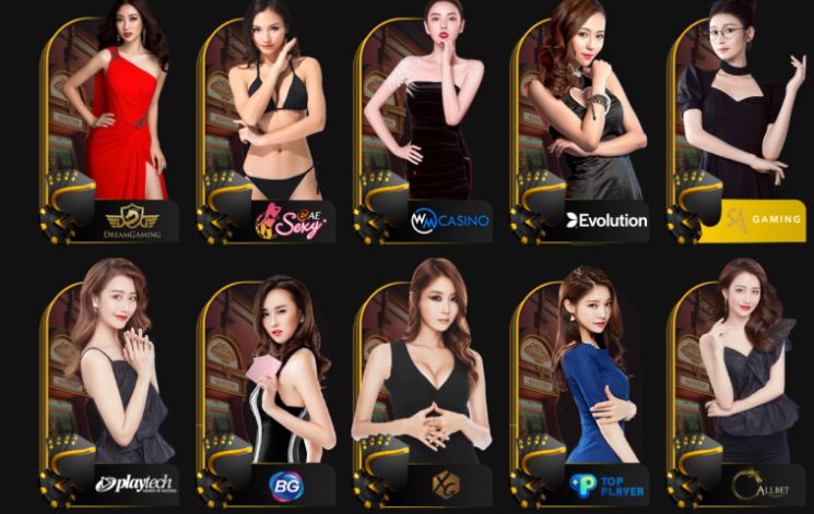 Luật đá gà cấp Betvisa - Betvisa