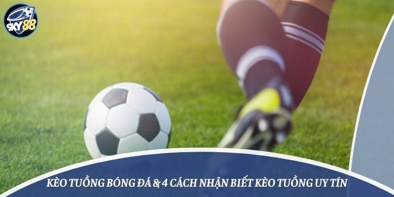 Thông tin trang web trò chơi Mg188 - Mg188
