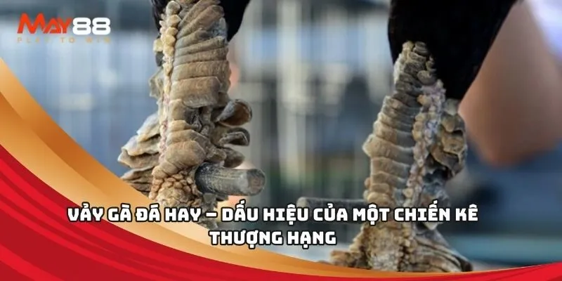 Nạp tiền vào tài khoản Vinbet của bạn một cách nhanh chóng, chính xác và an toàn - Vinbet