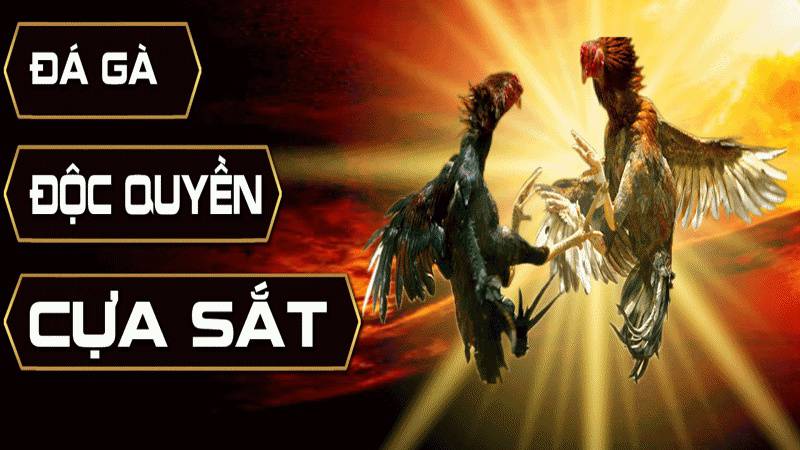 Hồ sơ Công ty Game Fb68 Việt Nam - Fb68