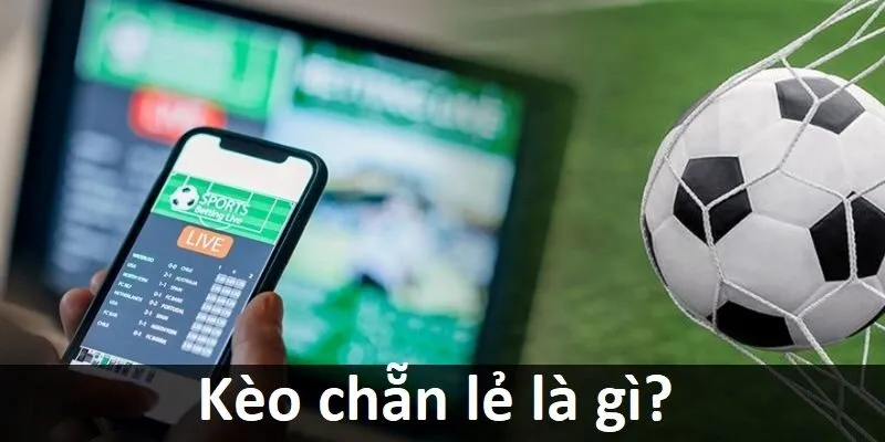 Liên kết bài viết được cập nhật lần cuối trên Mb86 - Mb86