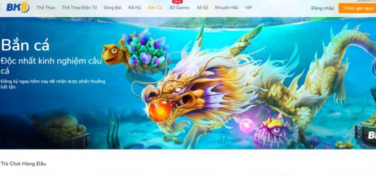 Những lý do đằng sau tin đồn Dk8 là một trò lừa đảo - Dk8