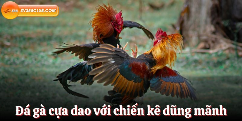 Câu lạc bộ 789Win đang có những ưu đãi tuyệt vời! - 789Win