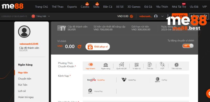 Betvisa TV cung cấp các giải bóng đá nào? - Betvisa