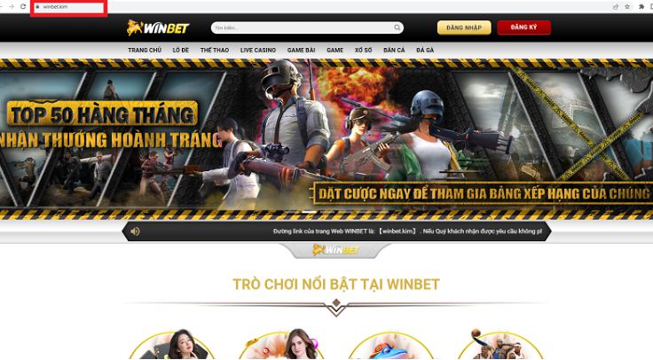 Kiếm tiền thông qua một công ty game tầm cỡ Vz99 - Vz99