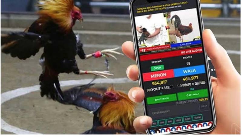 Xếp hạng tín dụng S666 có nghĩa là gì? Nó mang lại nhiều lợi ích không? - S666